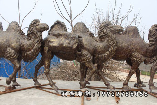 骆驼铜雕 (36)